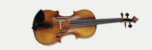 String Instruments - Violins, Violas, Cellos and Double Basses