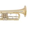 Bb Basstrompete Miraphone 37 100 Yellow Brass laquered