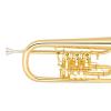 Bb Flugelhorn Miraphone 25 1101A 100 Gold Brass gold plated