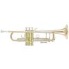 B Trompete B&S Challenger 3143/2GLB-L (Gold Brass one-piece Bell and Leadpipe)