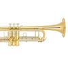 Bb Trompete Miraphone M3000 Gold Brass gold plated