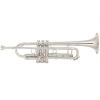 Bb Trompete Miraphone M3050 Yellow Brass silver plated