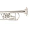 Bb Trompete Miraphone 11 Gold Brass Silver plated