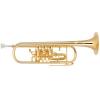 Bb Trompete Miraphone 9R 1101A 100 Gold Brass Gold plated 