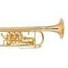Bb Trompete Miraphone 9R 1101A 120 Gold Brass Gold plated 