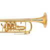 Bb Trumpet Miraphone 9R1 heavy Gold Brass Gold plated