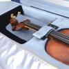 Koffer für Violine 4/4 Artonus Model "Bardo"