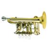 C Piccolo Trompete Custom J. Scherzer 8110-L