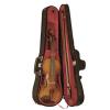 Hofner Violingarnitur - H9 Allegro (Konservatorium) Hofner H9-V-0