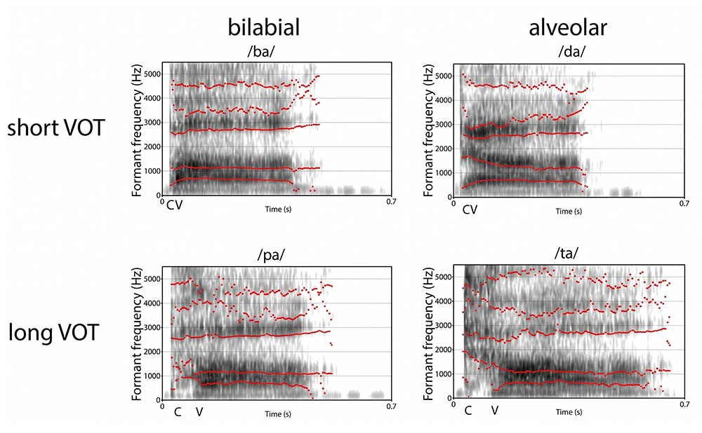 Spektralanalyse einer Gitarrensaite und Veränderung des Obertonspektrums bei Alterung