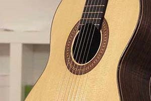 [ru]Гитраная розетка[/ru][en]Guitar Rosette[/en][de]Gitarrenrosette[/de]