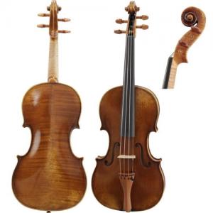 Violin Paesold PA805