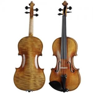 Violin Paesold PA807-CB