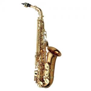 Alto Saxophone Yanagisawa AWO20