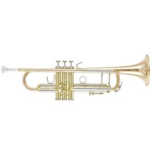 Bb Trumpet B&S Challenger 3143/2GLB-L (Gold Brass one-piece Bell and Leadpipe)