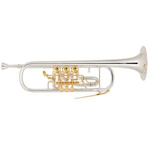 Bb Trumpet Miraphone 9R 1102AP 10 Gold Brass Silver-Gold plated