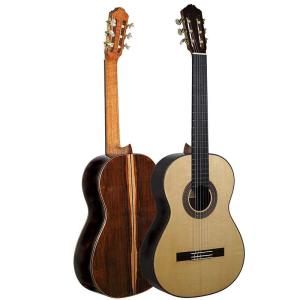 Pavel Gavryushov Master Guitar, spruse / Madagascar rosewood