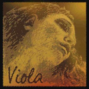 Buy Viola strings Pirastro Viola Evah Pirazzi Gold