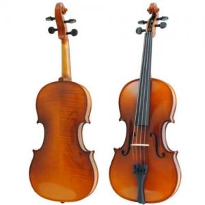 Violin Paesold PA803HV
