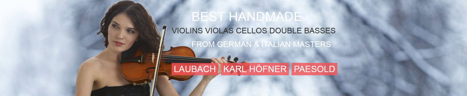 german-master-violin