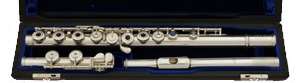 Cases for flutes