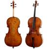 Master Cello Paesold PA611