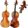 Master Violin Paesold PA821-GG