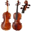 Master Violin Paesold PA821-LW