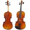 Violin Paesold PA400