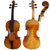 Скрипка Paesold PA802