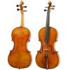 Violin Paesold PA807-BG