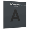A Thomastik Dominant Pro DP02B Saite für Violine | Stahl, Chrom