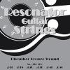 Acoustic Guitar Strings Pyramid Resonator/ Dobro