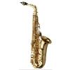 Alto Saxophone Yanagisawa AWO1