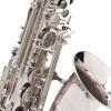 Alto Saxophone Buffet Crampon Senzo BC2525-2-0 red copper silver plated