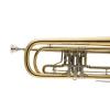 Bb Bass Trumpet Miraphone 237 100 Gold Brass laquered