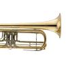 Bb Bass Trumpet Miraphone 237 100 Gold Brass laquered