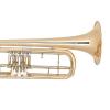 Bb Bass Trumpet Miraphone 37 Gold Brass laquered
