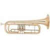 Bb Basstrompete Miraphone 37 Gold Brass laquered