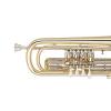 Bb Bass Trumpet Miraphone 37 407 120 Yellow Brass laquered