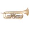 Bb Basstrompete Miraphone 374 110 Gold Brass laquered