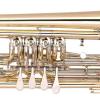 Bb Bass Trumpet Miraphone 37 411 100 Gold Brass laquered