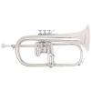 Bb Flugelhorn B&S Challenger "Brochon" 3146/2G-S (gold brass, silver plated)