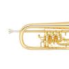 Bb Flugelhorn Miraphone 24R 1101A 100 Gold Brass gold plated