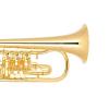 Bb Flugelhorn Miraphone 25 1101A 100 Gold Brass gold plated
