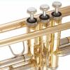 C Trumpet B&S Challenger 3136TC-L (gold brass light weight bell)