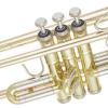 Bb Trumpet B&S Challenger 3143/2GLB-L (Gold Brass one-piece Bell and Leadpipe)