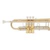Bb Труба Miraphone M3000 Gold Brass laquered