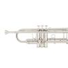 Bb Trumpet Miraphone M3000 Gold Brass silver plated