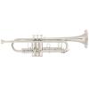 Bb Trumpet Miraphone M3000 Gold Brass silver plated